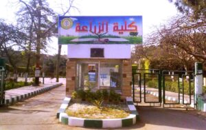 إبراهيم أبو ذكري يكتب: حكايتي مع الإعلام وصناع الإعلام (18).. (الأزهر) في حياتي