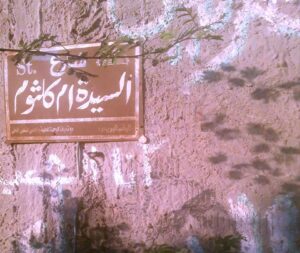 محمود حسونة يكتب: الرئيس لا يريد (أم كلثوم) جديدة!