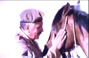 حارس الوجدان القوي (محمد جلال عبد القوي) - 4