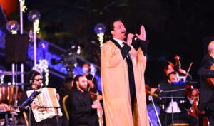 كمال زغلول يكتب: جماليات (الفن) المسرحي العربي (5)