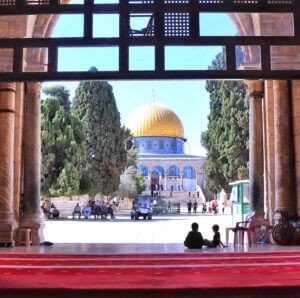 (مهرجان الجونة السينمائي) يعلن عن عودة برنامج (نافذة على فلسطين)