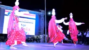 وزارة الثقافة توثق لفعاليات (مهرجان الإسماعيلية الدولي للفنون الشعبية)