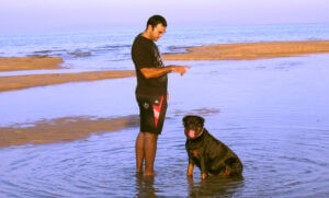 محمد الروبي يكتب: (عزيزتي رولا).. مرثية بصرية عن الوفاء