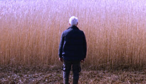 فيلم SOUND OF FALLING مابين الصدمات المتوارثة.. والتجارب المكبوتة