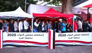 علي عبد الرحمن يكتب: الإعلام، و(الانتخابات)، والتثقيف السياسي !