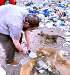 إبراهيم رضوان يكتب: الدكتور (حمدي بلاط).. مبعوث العنايه الإلهية