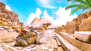 علي عبد الرحمن يكتب: الاحتفاليه وقناة (مصر السياحية)