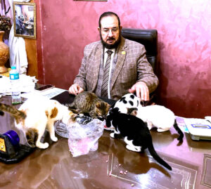 إبراهيم رضوان يكتب: الدكتور (حمدي بلاط).. مبعوث العنايه الإلهية