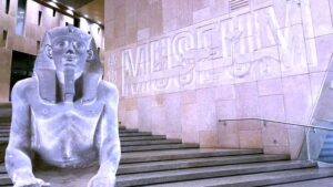 عصام السيد يكتب: في افتتاح (المتحف): عندما باعت الحكومة (الحضارة) للتجارة