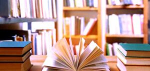 عصام السيد يكتب: الثقافة و(نظام التفاهة).. (2)