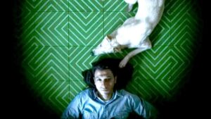 رضا العربي يكتب: (الكلب).. مرآةٍ صافية لوجع الإنسان!