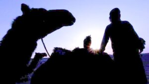 (انطلق الصيد).. برنامج يأخذ المشاهدين في رحلة تنافسية مشوّقة داخل عالم الصقارة