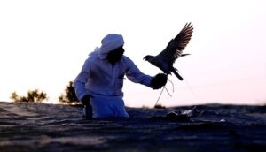 (انطلق الصيد).. برنامج يأخذ المشاهدين في رحلة تنافسية مشوّقة داخل عالم الصقارة