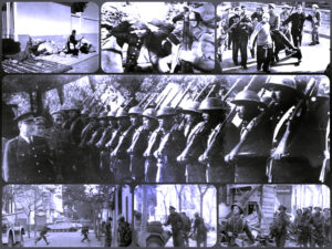 محمد شمروخ يكتب: (25 يناير).. كيف صارت النكبة عيدا؟!