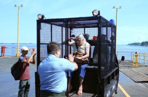 جمعية الفيلم تعرض (المسار الأزرق) بالمركز الثقافي الروسي