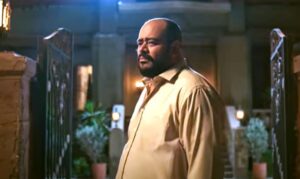 السادة الأفاضل.. فيلم يرسخ للفساد الأخلاقي كموروث اجتماعي!