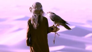 (انطلق الصيد).. برنامج يأخذ المشاهدين في رحلة تنافسية مشوّقة داخل عالم الصقارة