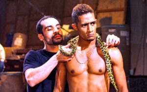 طارق عرابي يكتب: صوت و(ضجيج الجاهلين).. وصمت وتخاذل العارفين.. وجهان لجريمة واحدة!