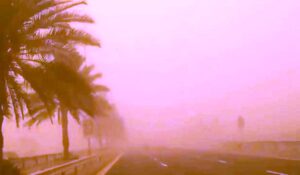 (منار غانم): تأثير العاصفة انتهى تمامًا، والأجواء بدأت تستقر تدريجيًا