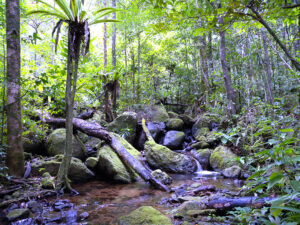 رضا العربي يكتب: عندما يتحول الارتواء بـ (الماء) إلى فناء