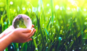 الدكتورة (وجدان العقاب) تؤكد دور الإعلام البيئي في دعم (القضايا العربية) كأداة حيوية