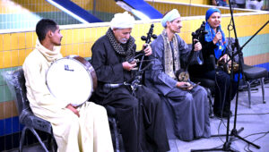 كمال زغلول يكتب: البنية الثقافية والإبداع الشعبي (11).. تخيل أحداث (السيرة)