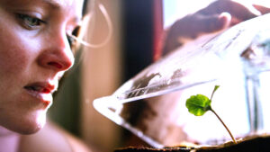 رضا العربي يكتب: دلالات (الطلاسم) والكلمات في الحياة والفن