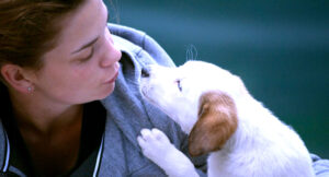 رضا العربي يكتب: دلالات (الطلاسم) والكلمات في الحياة والفن