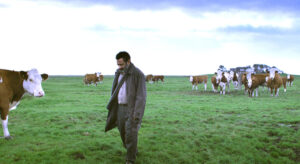 39 فيلما من 14 دولة عربية تشارك في الدورة 16 لمهرجان (مالمو للسينما العربية)