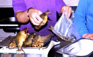 محمود عطية يكتب: فضائيات (الفسيخ).. انحدار عابر لايمكن التغاضي عنه!