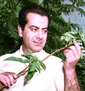 شم النسيم.. احتفى به (حليم الرومي) بمقطوعة موسيقية، وغنى له أساطين النغم