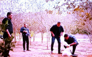 د. ثروت الخرباوي يكتب: قراءة في (الدراما التوثيقية) في (رأس الأفعى)