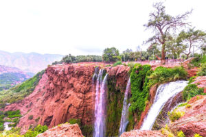 كمال زغلول يكتب: البنية الثقافية والإبداع الشعبي (15).. أدوار شاعر (السيرة الهلالية)