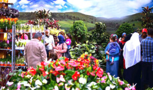 شم النسيم.. احتفى به (حليم الرومي) بمقطوعة موسيقية، وغنى له أساطين النغم