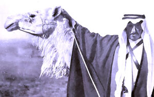 (راعي البلها).. فيلم أردني يتناول مسيرة الشيخ (مثقال الفايز)