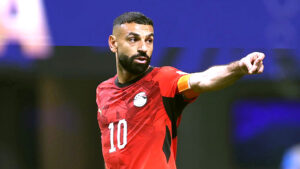 بهاء الدين يوسف يكتب: تكريم (المنتخب).. وضحايا الحاجة عواطف!