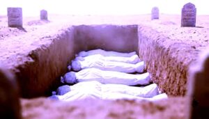 محمود عطية يكتب: (العلم).. بين اليقين والتشكيك!