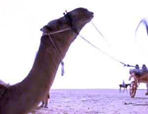فيلم (خوفو) يشوّق الجمهور بإعلانه الأول قبل المنافسة في مهرجان لوكارنو