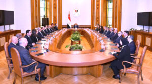 عصام السيد يكتب: الثقافة بين الدولة و(الحكومة)