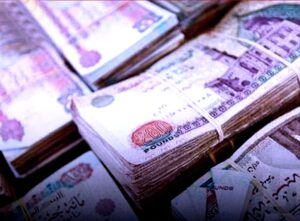 (الثقافة) بين الاستراتيجية والتطبيق (3).. حين يصبح القانون عائقًا أمام الهدف