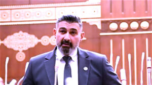 محمود عطية يكتب: (المشخصاتية).. والبحث عن الحصانة!